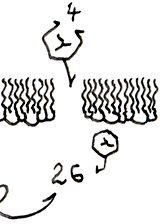 Hannes Kater  Detail einer Zeichnung 2026