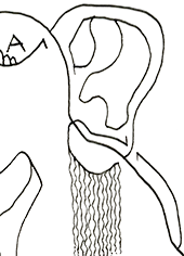 Hannes Kater – Detail einer Zeichnung aus dem Februar 2025