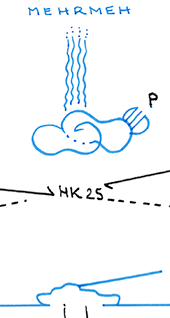 Hannes Kater – Detail einer Zeichnung aus dem April 2025