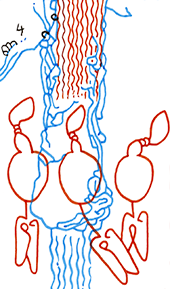 Hannes Kater – Detail einer Zeichnung aus dem März 2025