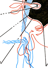 Hannes Kater – Detail einer Zeichnung aus dem März 2025