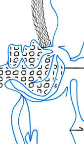 Hannes Kater – Detail einer Zeichnung aus dem April 2025