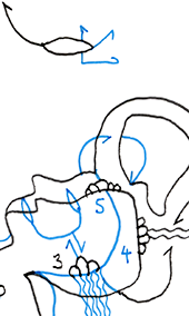 Hannes Kater – Detail einer Zeichnung aus dem Mai 2025