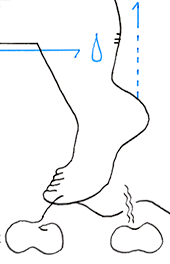 Hannes Kater – Detail einer Zeichnung aus dem Mai 2025