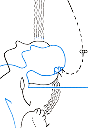 Hannes Kater – Detail einer Zeichnung aus dem Mai 2025