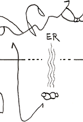 Hannes Kater – Detail einer Zeichnung aus dem Mai 2025