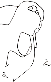 Hannes Kater – Detail einer Zeichnung aus dem Mai 2025