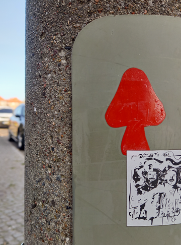 LP 2161- Lieblingspfeil Nr. 2161 von Hannes Kater