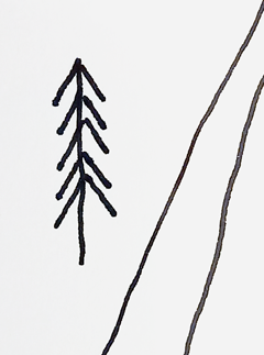 Kunstpfeil_102 (Jimmie Durham) Pfeil-Baum-Unschärfe – Foto Hannes Kater