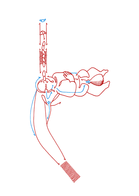 Tageszeichnung f&uuml;r den 03.11.2009