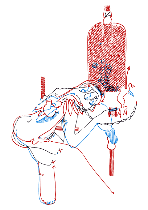 Tageszeichnung f&uuml;r den 14.02.2009